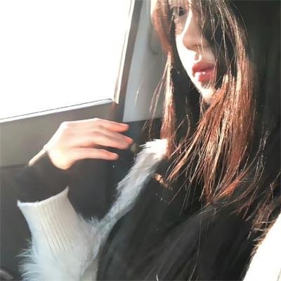 寻宝搭档第二季